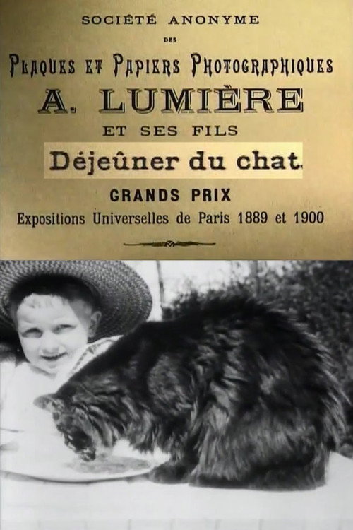 Poster for Le déjeuner du chat
