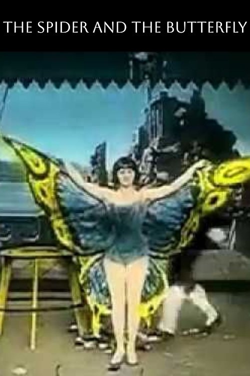 Le papillon fantastique