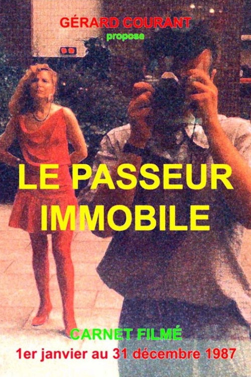 Le Passeur Immobile (Carnet Filmé: 1er janvier 1987 - 31 décembre 1987)