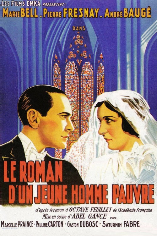 Le roman d'un jeune homme pauvre
