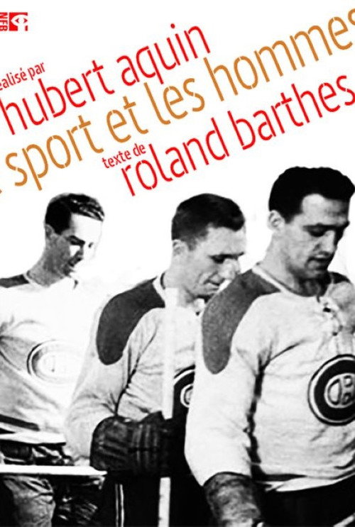 Le sport et les hommes