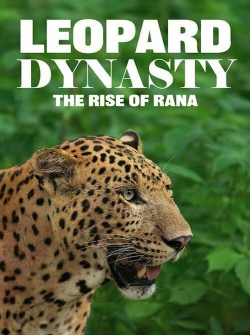Leopard Dynasty-The Rise of Rana