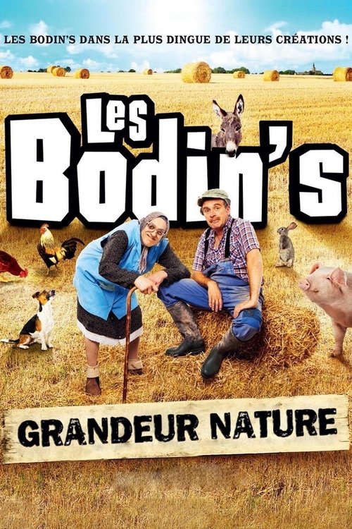 Poster for Les Bodin's: Grandeur nature