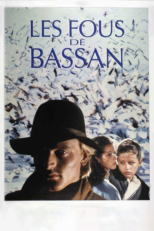 Les fous de Bassan