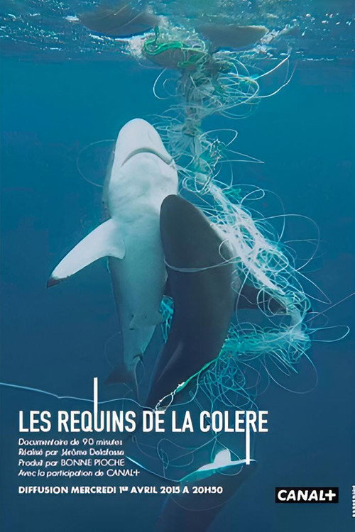 Les requins de la colère