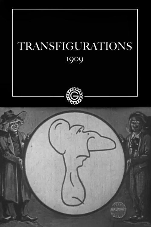 Les transfigurations