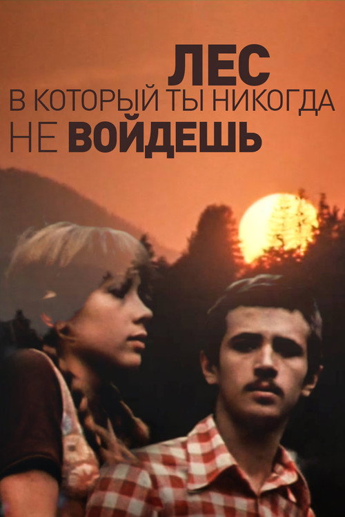 Les, v kotoryy ty nikogda ne voydesh