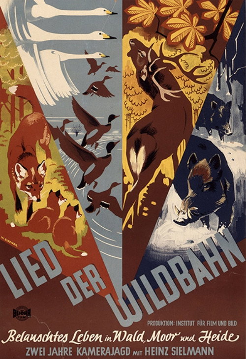 Lied der Wildbahn (Belauschtes Leben im Wald, Moor und Heide)