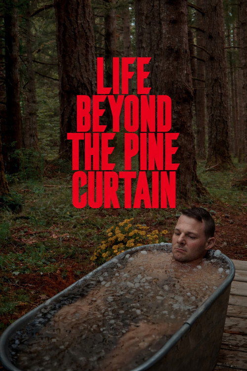 Life Beyond the Pine Curtain: L'America degli invisibili