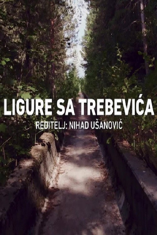 Ligure sa Trebevica
