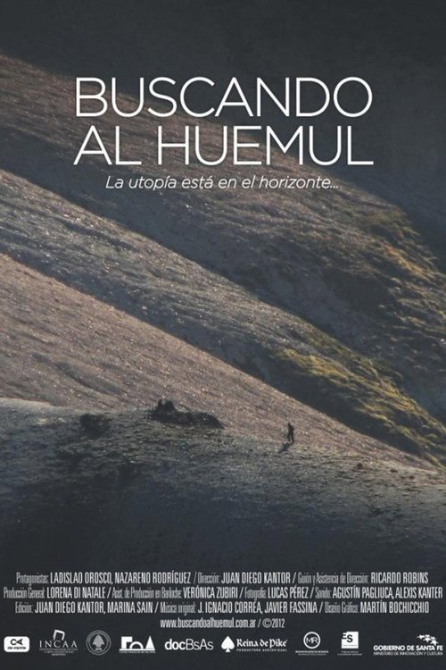 Looking for the Huemul