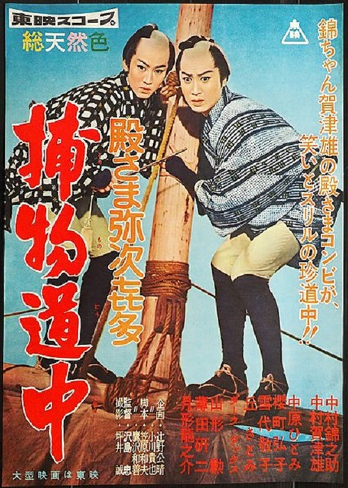 Poster for Lords and Pirates