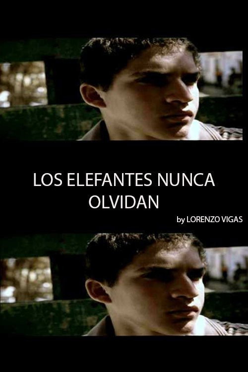 Los elefantes nunca olvidan