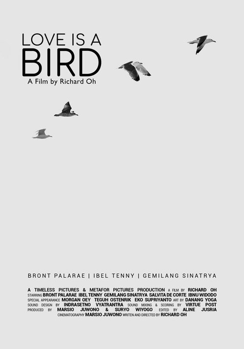 Love Is a Bird