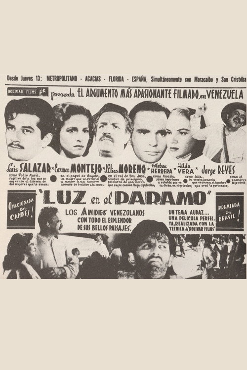 Luz en el páramo