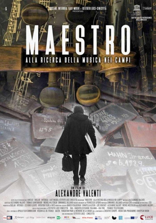 Maestro - Alla ricerca della musica nei campi