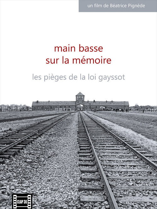 Main basse sur la mémoire, les pièges de la Loi Gayssot