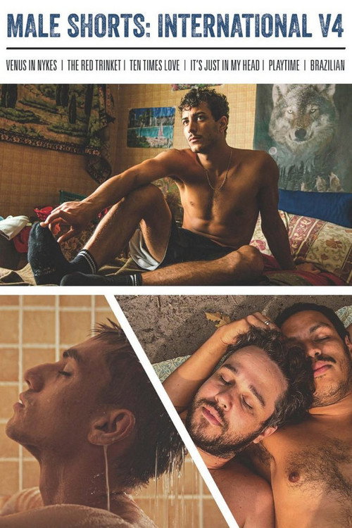 Male Shorts International V4