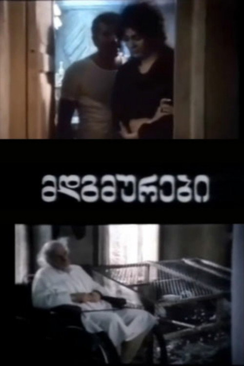 Mdgmurebi