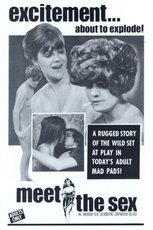 Meet the Sex