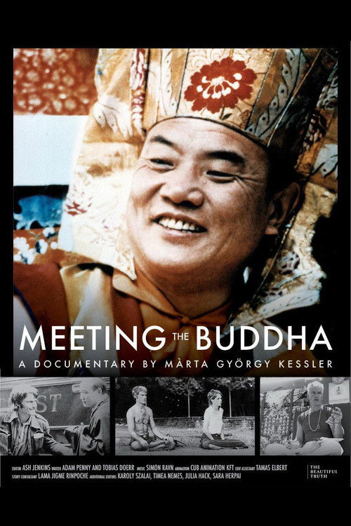 Meeting the Buddha