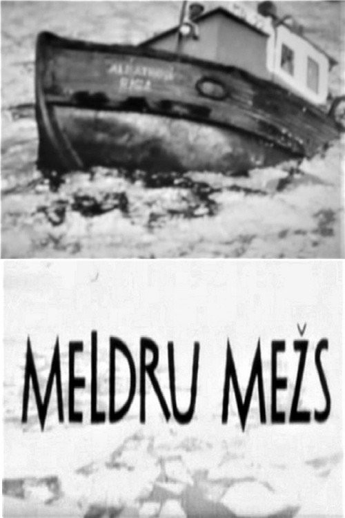 Meldru mezs