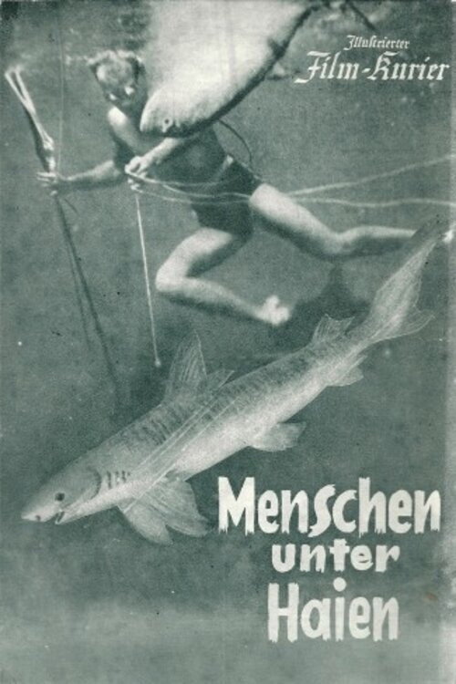 Poster for Menschen unter Haien