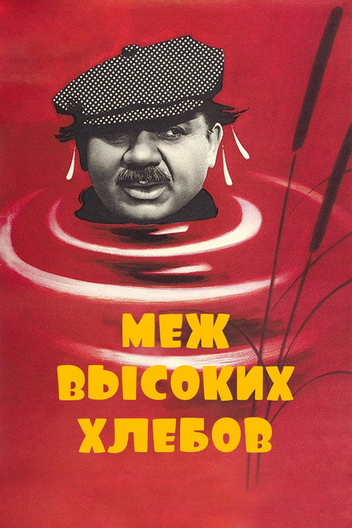 Mezh vysokikh khlebov