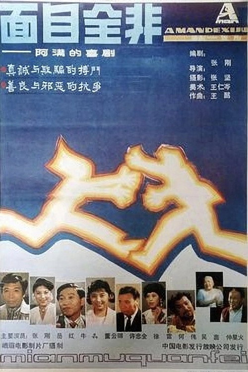 Mian mu quan fei
