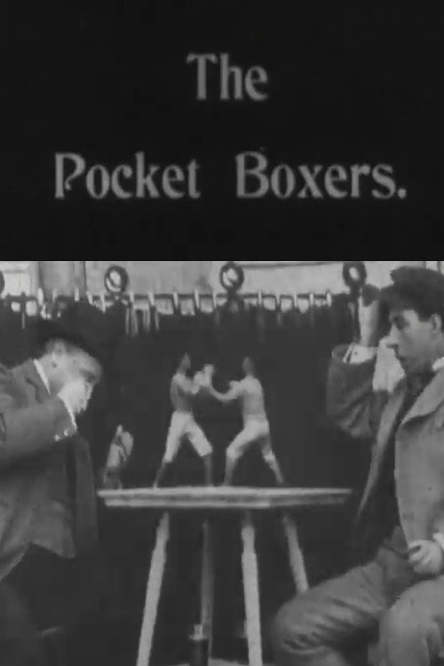 Miniature Prize Fighters
