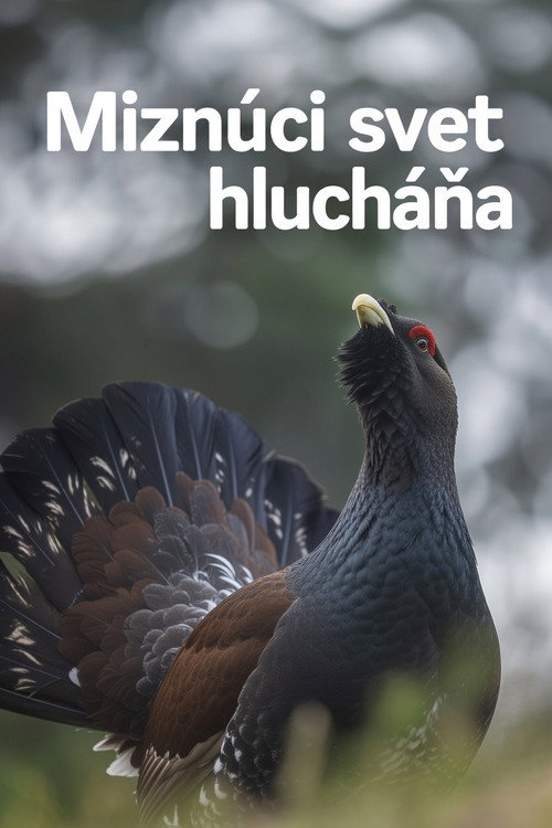 Miznúci svet hluchána