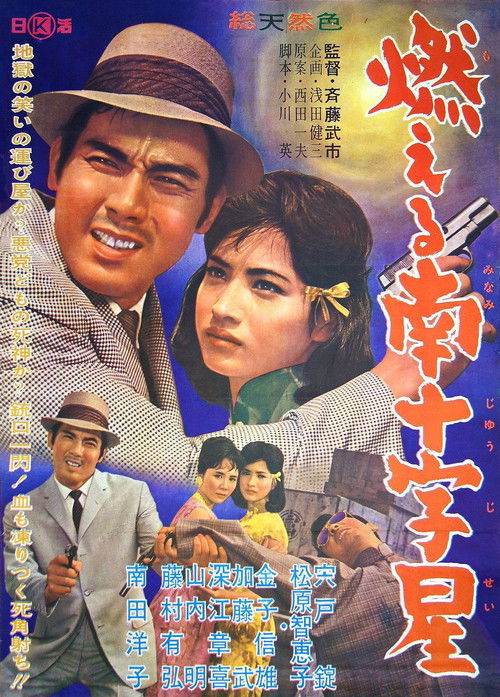 Moeru minamijûjisei
