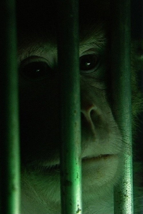 Poster for Monkeys, Rats and Me: Animal Testing