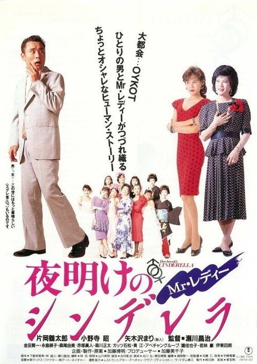 Mr. Redei-Yoakeno Shinderera
