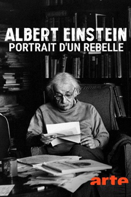 Mythos Einstein: Leben und Werk eines Rebellen