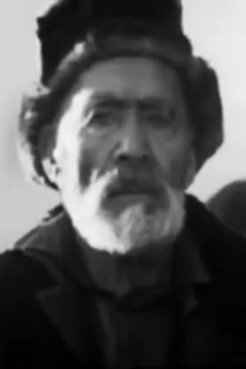 Narynskiy dnevnik