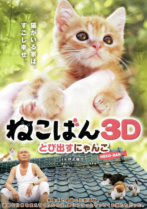Neco-Ban: Cats in Your Life