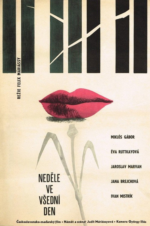 Nedele ve vsední den