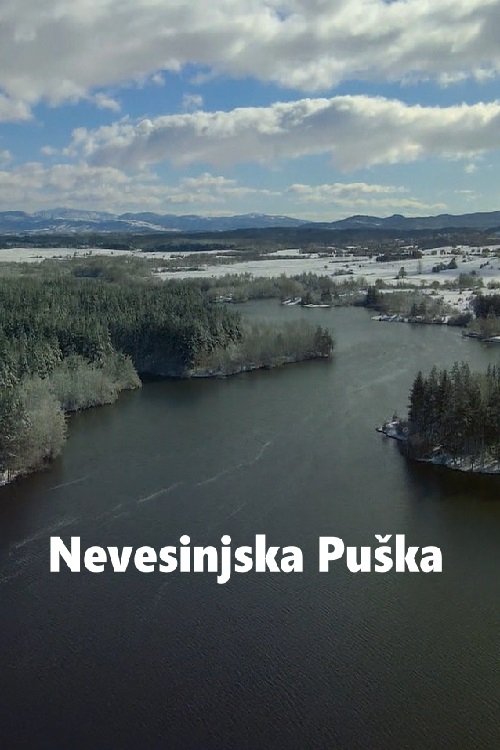 Nevesinjska puska
