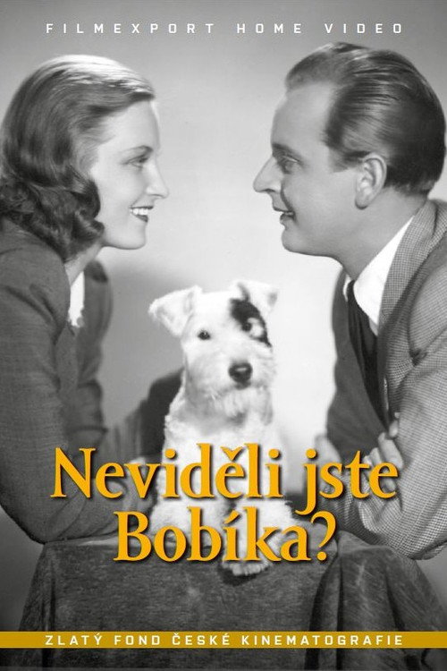 Nevideli jste Bobíka?
