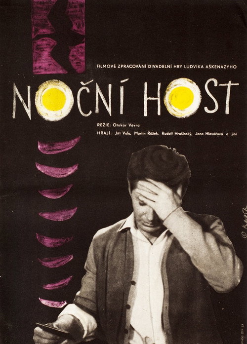 Night Guest