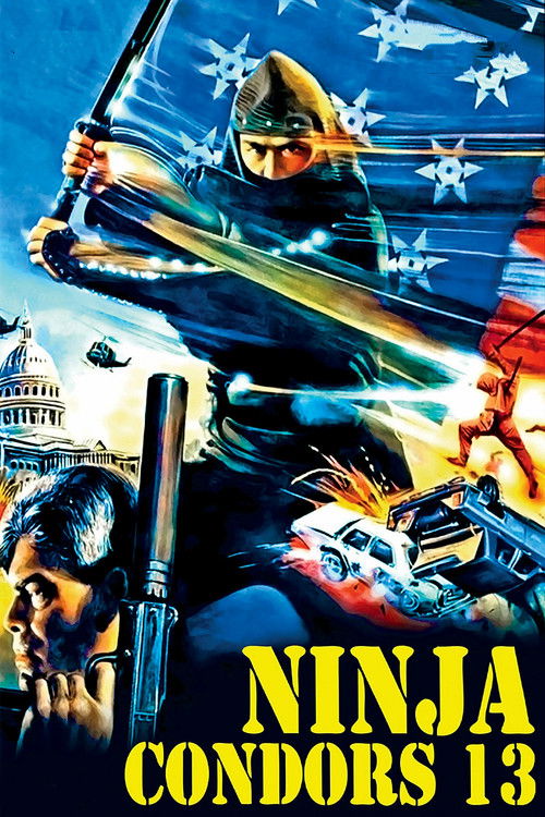 Ninja Condor 13