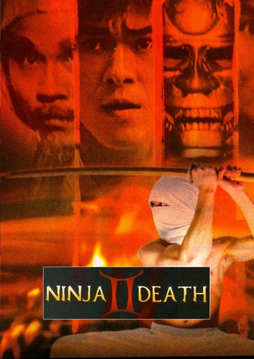 Poster for Ninja Death II