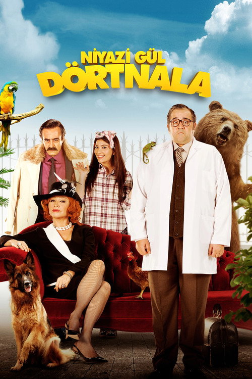 Niyazi Gül: Dörtnala