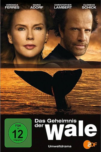 No Sky Over Whales
