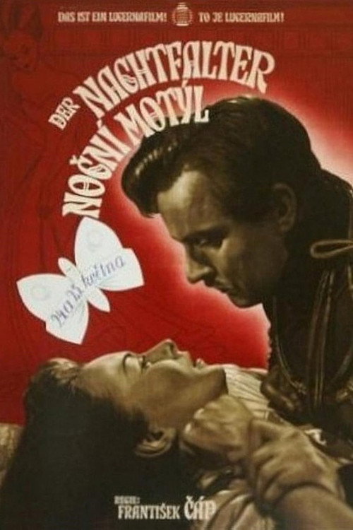 Nocní motýl
