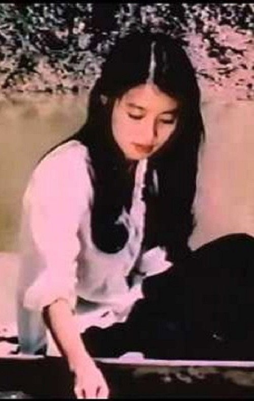 Noi bình yên chim hót