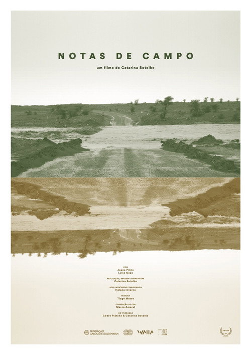 Notas de Campo