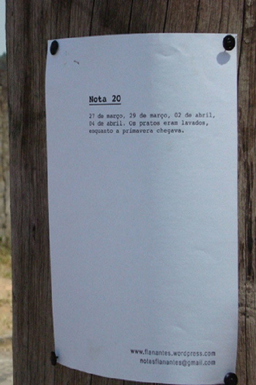 Notas flanantes