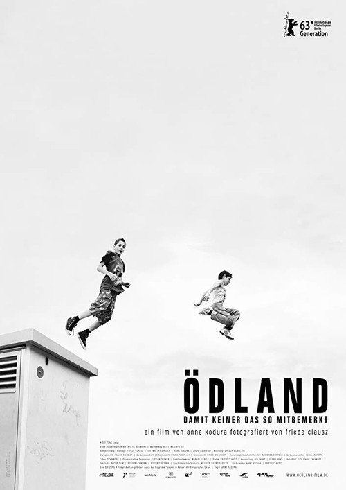 Poster for Ödland - Damit keiner das so mitbemerkt